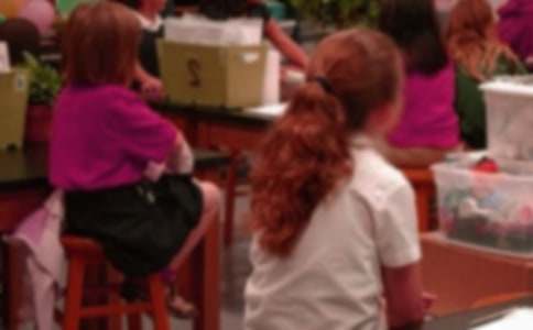 С�W(xu��)��ȤζͯԒ���£�С���÷N�X(qi��n)