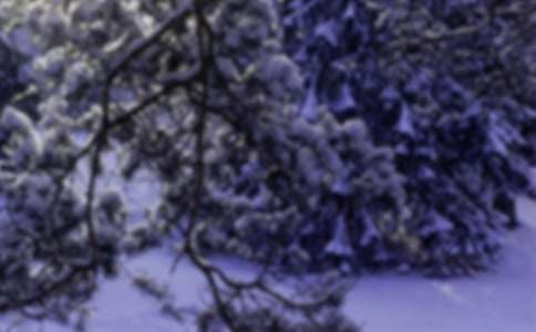 Сѩ400��_���꼉����_С�W(xu��)����