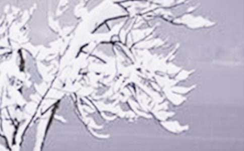 ���PСѩ������450������