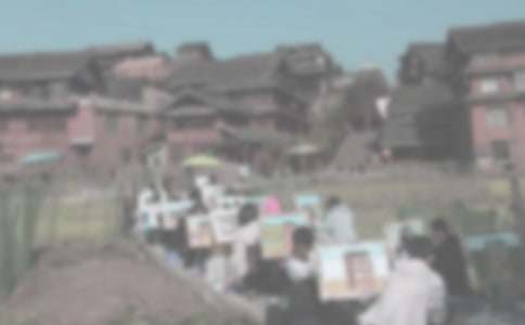 ��ĸ_�����������800��