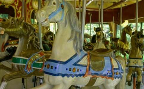 ���D(zhu��n)ľ�R����600�֣�ͨ��22ƪ��