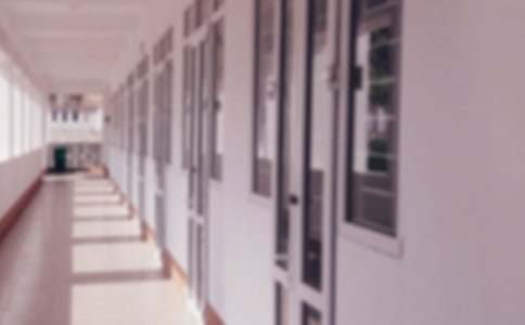 2017�갲�Ռ��ƌWУ����