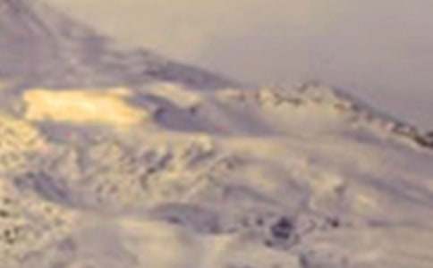 ������ѩɽ����11ƪ