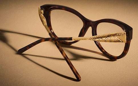 小學(xué)生作文給爺爺畫眼鏡