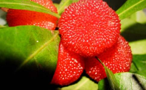 �Ґ�(��i)���l(xi��ng)�ė�÷����(���\6ƪ)