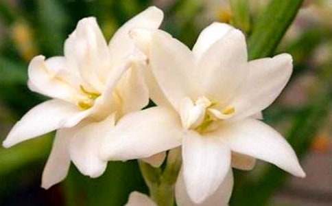 �茑ҹ����ă�(y��u)������