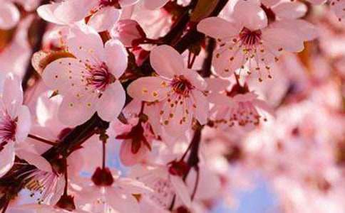 �茑�ѻ��ĺ��~�þ�����