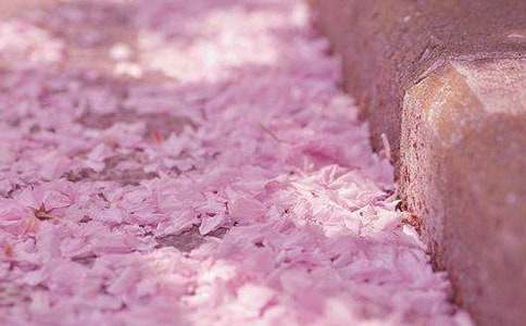 �ѻ������������