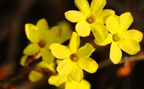 �茑ӭ��������400�֣�ͨ��41ƪ��