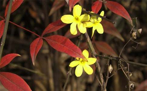 ��ӭ�������D÷800������