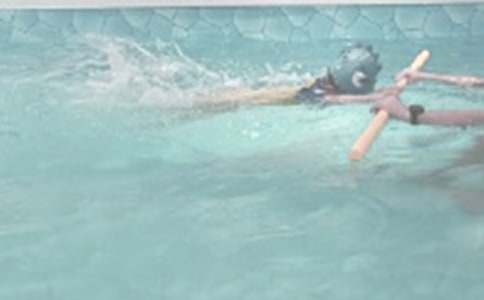 小雞學(xué)游泳看圖寫話作文(精選18篇)