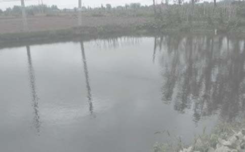 ���l(xi��ng)���~������(�ϼ�6ƪ)