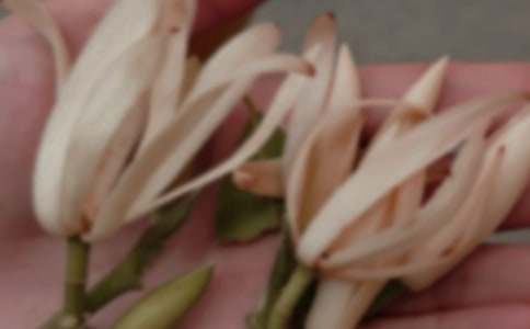 �����m��������700��