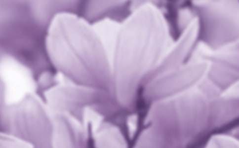 �����m�������ķ���