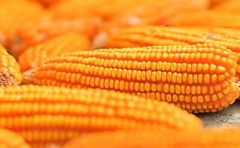 ���l(xi��ng)��ճ��������2000��