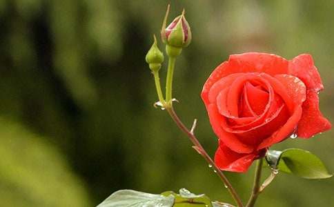 С�^(q��)����¼�С�W����