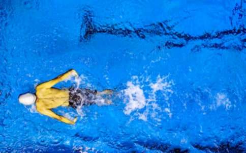 2016�＾���\�ӆT���͸巶��