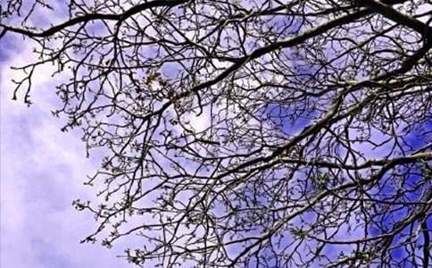 ��(l��)־�簲�Z(y��)�(ͨ��15ƪ)