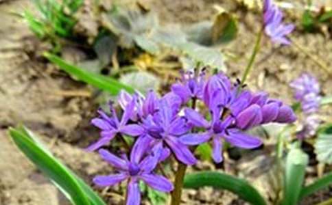 ���x�簲�������΢��19�l