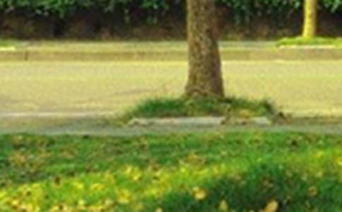 �簲��(l��)־�Z(y��)�