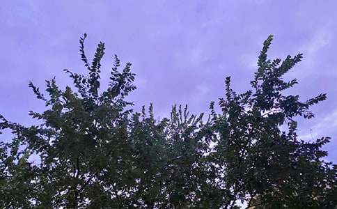 早安共勉句子微信27句