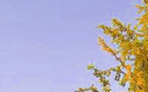 �簲������Z(y��)