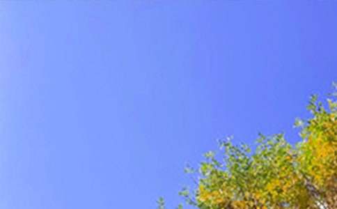 早安心語經(jīng)典(精品5篇)