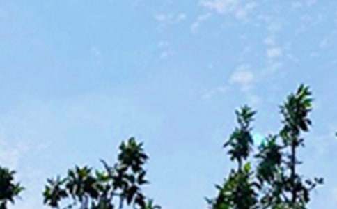 �������簲��(l��)־�Z(y��)䛡��]��