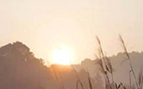 �簲��M��������(l��)־�Z(y��)�9ƪ