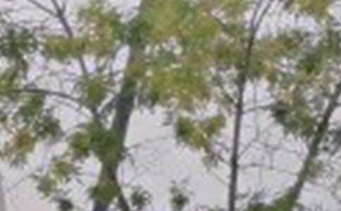 ���P(gu��n)��ܰ�簲���Ӵ�ȫ125�侫�x