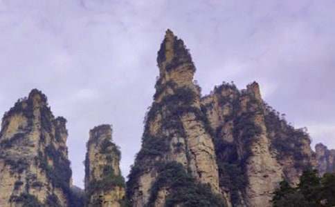 游張家界森林公園_作文