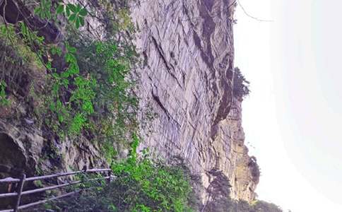 �Ώ��ҽ����TɽС�W(xu��)��(y��u)������500�֣����x32ƪ��