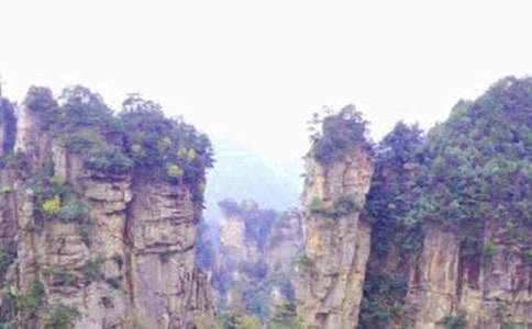 �Ώ��ҽ����Tɽ���ģ����x25ƪ��