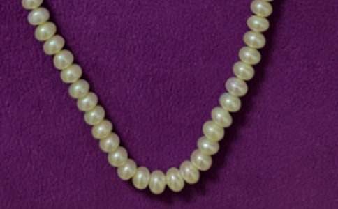 �����~����600��