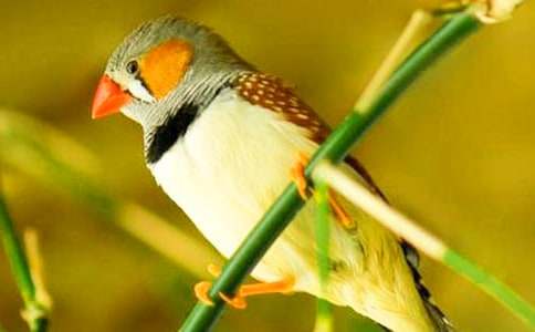 �������B��С؈���ģ����x37ƪ��