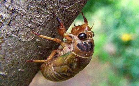 ���Ԟ��ǵ�֪�˸Č�����