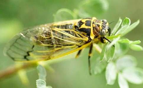 �����]��֪������600����ƪ