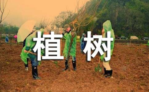 ֲ�䆖�}�ɶ˶��Խ̰�