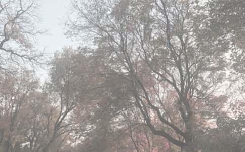 ���Ϻ�ֲ��@����600��