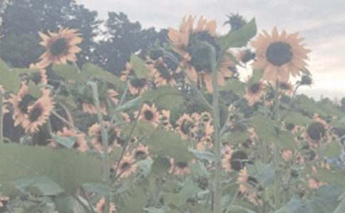 �Դ�������ֲ��@���}������