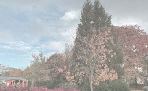 ֲ��@һ��������500��