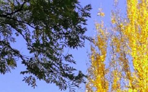 �P(gu��n)����������300����ƪ