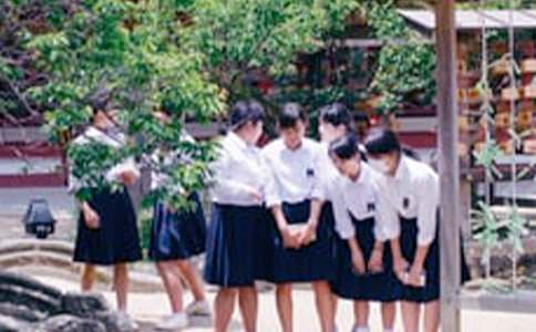 �P(gu��n)�ڽ�ͨ��ȫ���ЌW(xu��)������