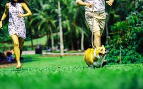 ͣ늵���ĩС�W(xu��)����