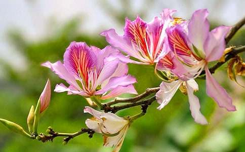 ���G�����ĵ�300�֣����x33ƪ��