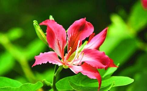 �^�����G������