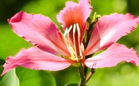 ���G������250��