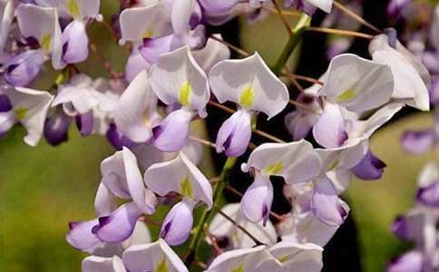 �p���ٻ�����