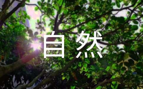 �H������Ȼ500������