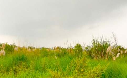 �P(gu��n)�ں��C���������M(j��n)���C�Ĵ���